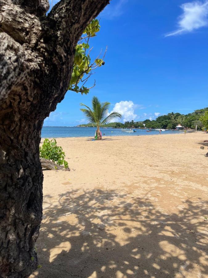 Appartement Vue Mer A 2 Minutes A Pied Des Plages Tartane ラ・トリニテ エクステリア 写真