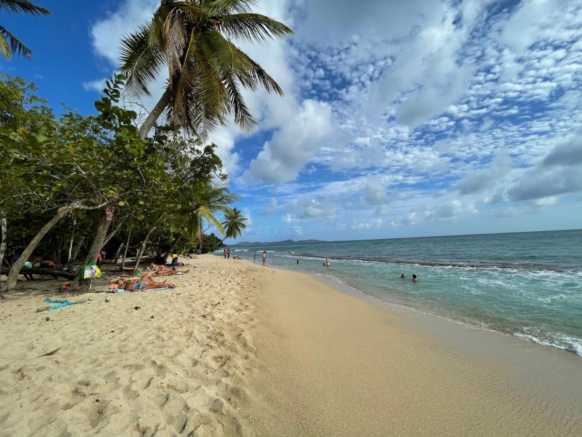 Appartement Vue Mer A 2 Minutes A Pied Des Plages Tartane ラ・トリニテ エクステリア 写真