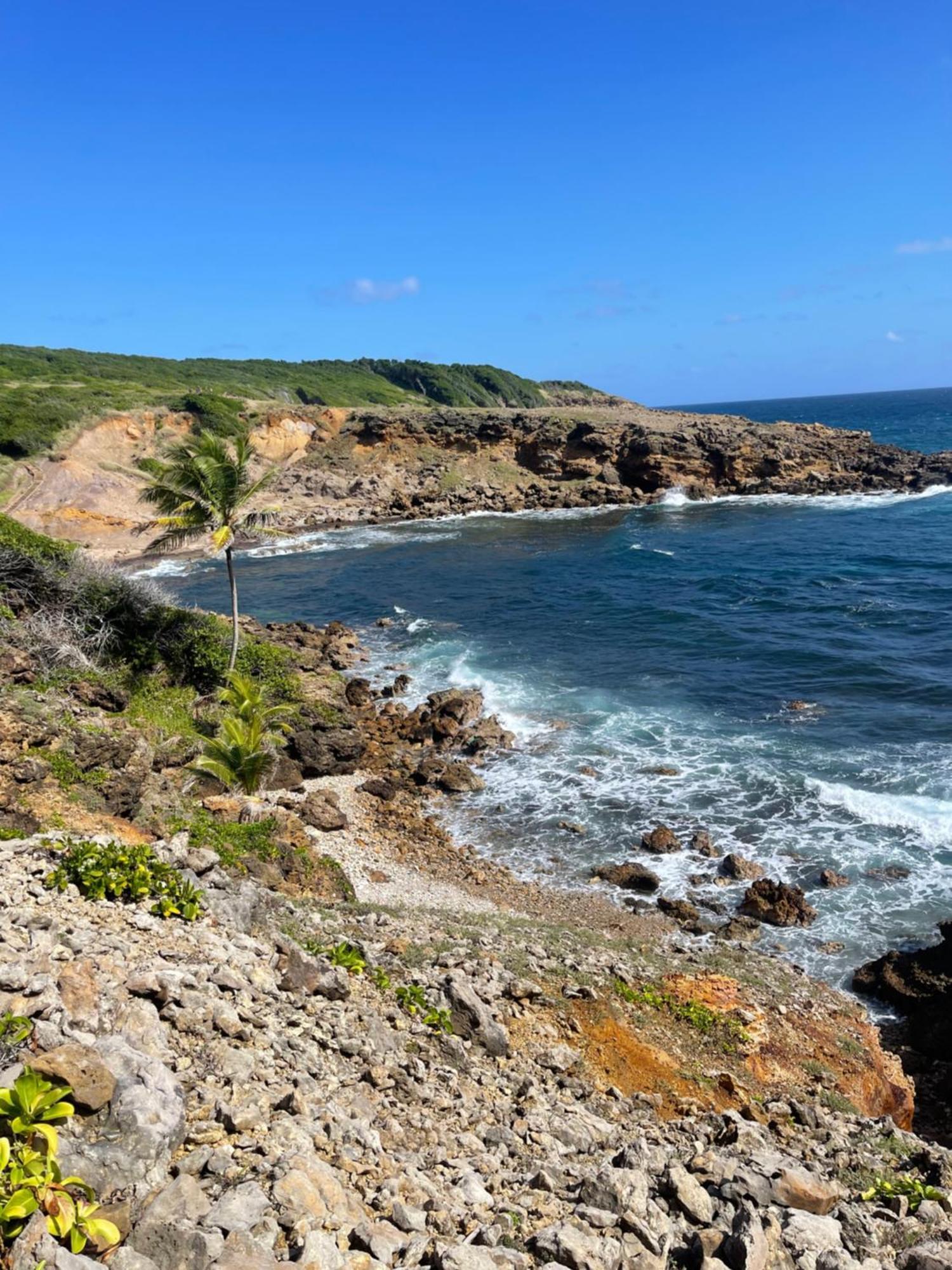 Appartement Vue Mer A 2 Minutes A Pied Des Plages Tartane ラ・トリニテ エクステリア 写真